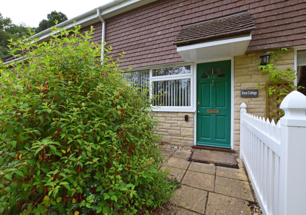 Fern Cottage Charmouth Zewnętrze zdjęcie